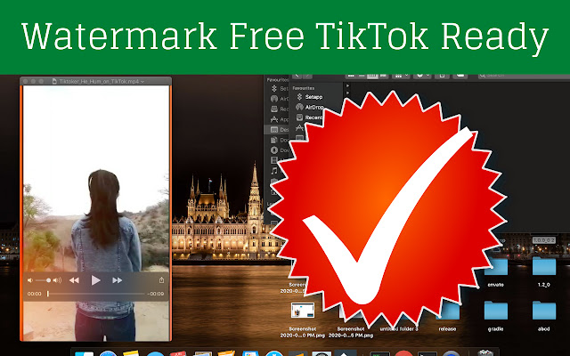 TikTok Video Downloader