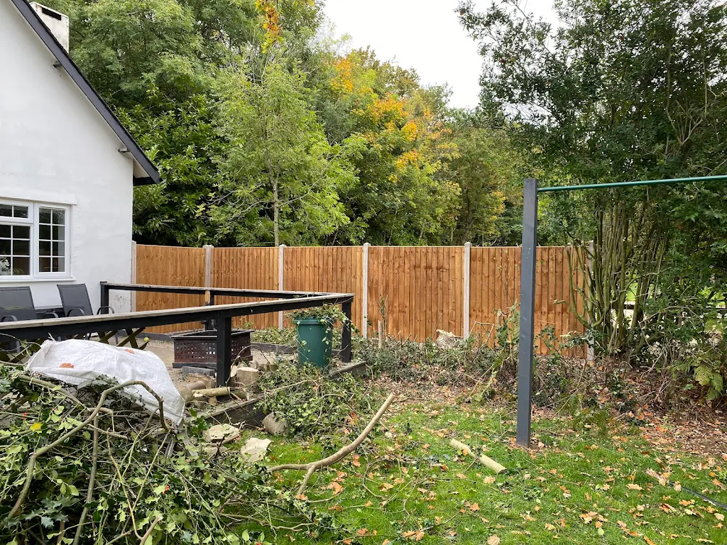 Preview of 5FYFT3XffApHYL4PhpxK.