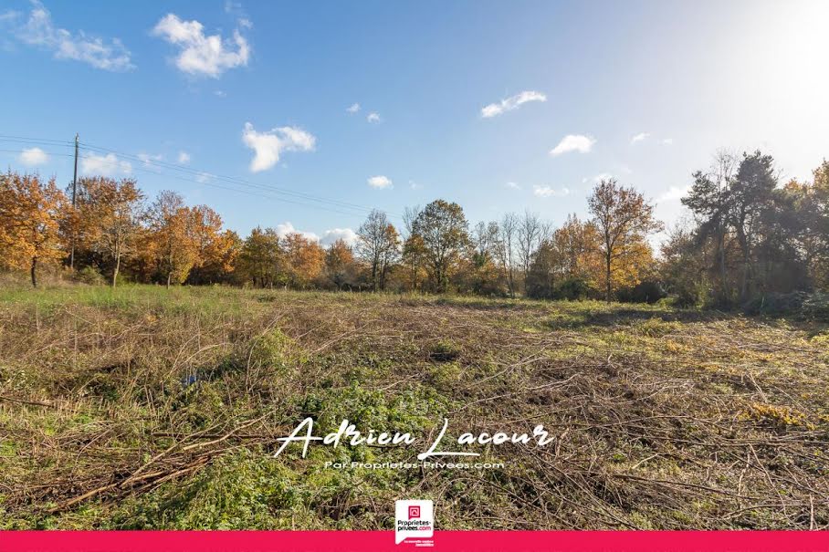 Vente terrain  1151 m² à Pruniers-en-Sologne (41200), 27 990 €