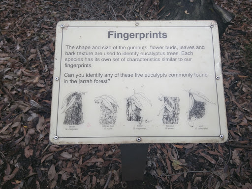 Fingerprints