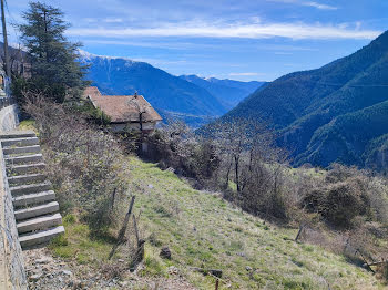 terrain à Venanson (06)