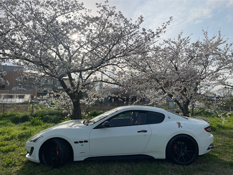 グラントゥーリズモの桜×愛車・桜に関するカスタム事例の投稿画像6枚目