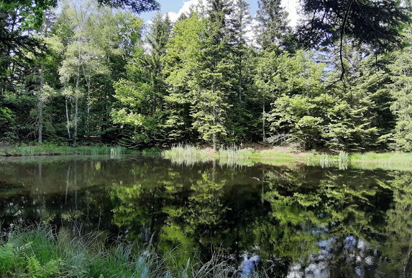  Vente Terrain à bâtir - à Faucogney-et-la-Mer (70310) 