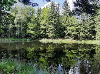 terrain à Faucogney-et-la-Mer (70)