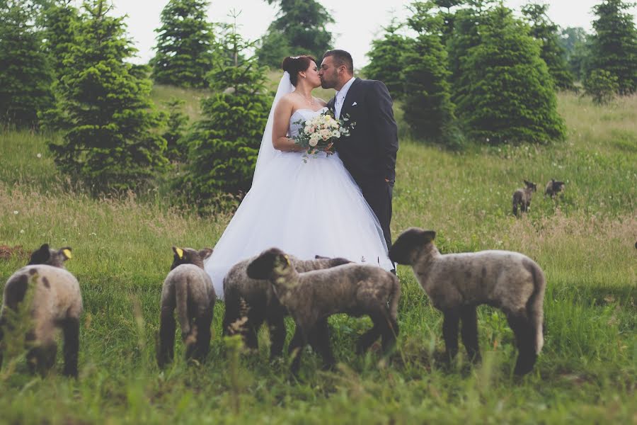 Hochzeitsfotograf Eszter Péter-Tóth (teszterfoto). Foto vom 19. Juni 2018