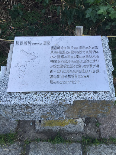 観音崎の珍しい現象