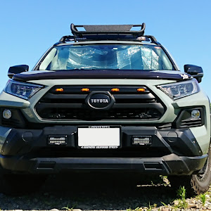 RAV4 MXAA54