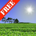 Cornfield Free icon