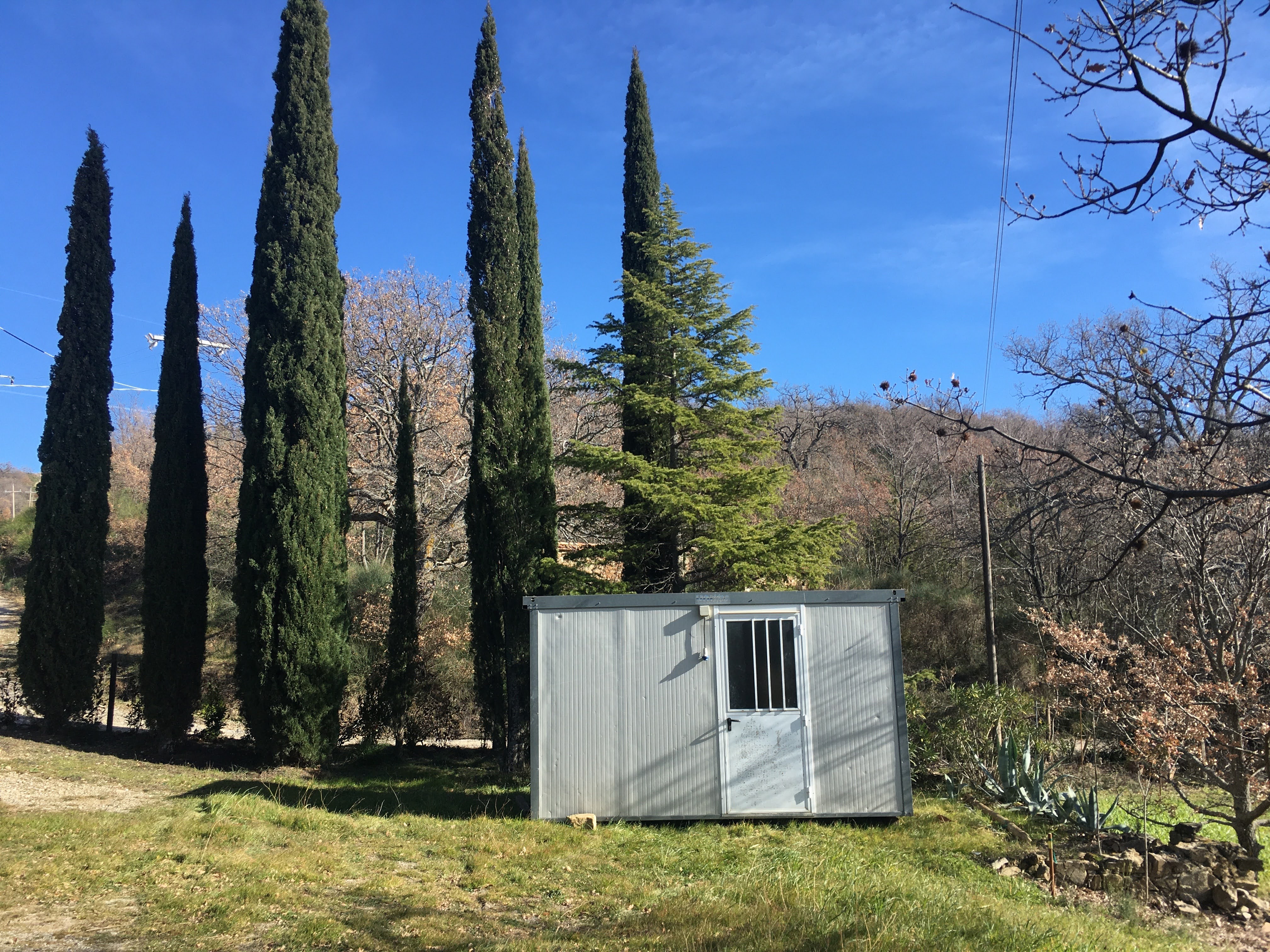 Un'apparizione improvvisa nel nostro giardino