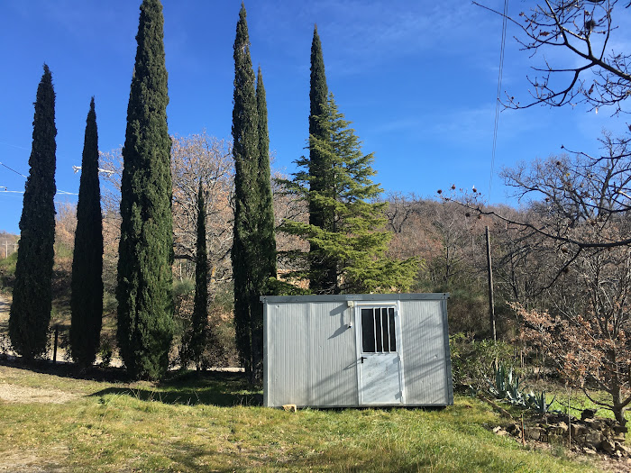 Un'apparizione improvvisa nel nostro giardino