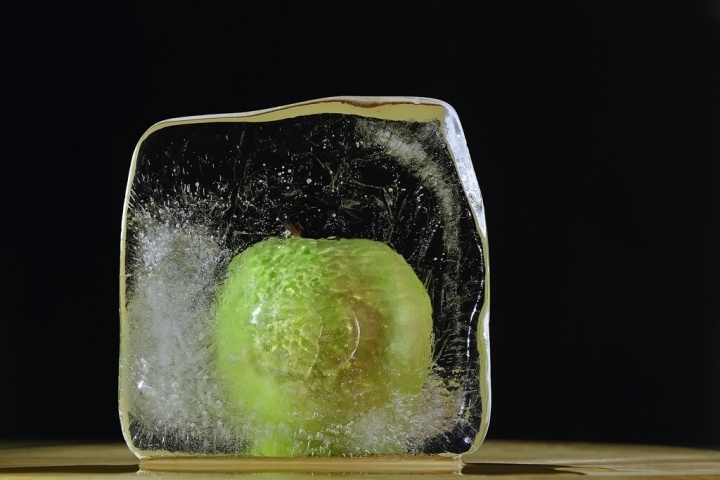 Apple ice cube di Damiano