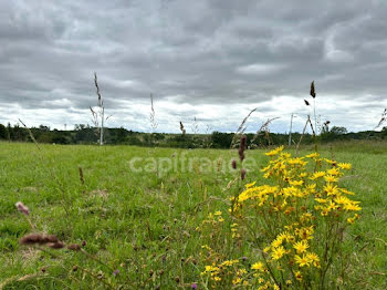 terrain à Saint-Laurent-du-Plan (33)