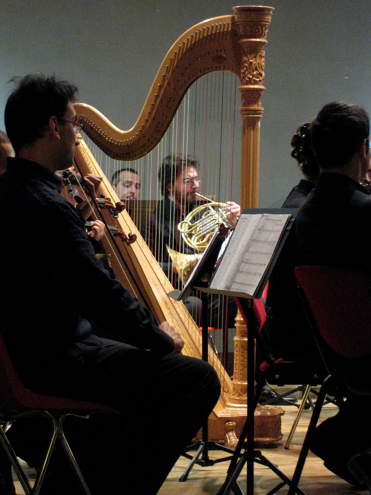 Il concerto di Elisabetta Castellano