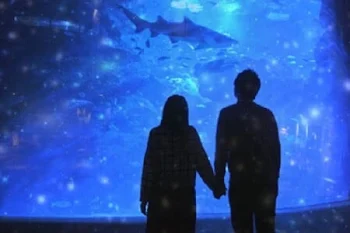 水族館～男子と女子の違い～