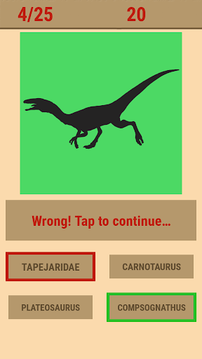 Dino Shadow Quiz