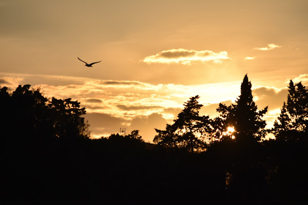 Tramonto  di allishavensamuele