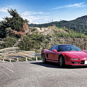 NSX NA1