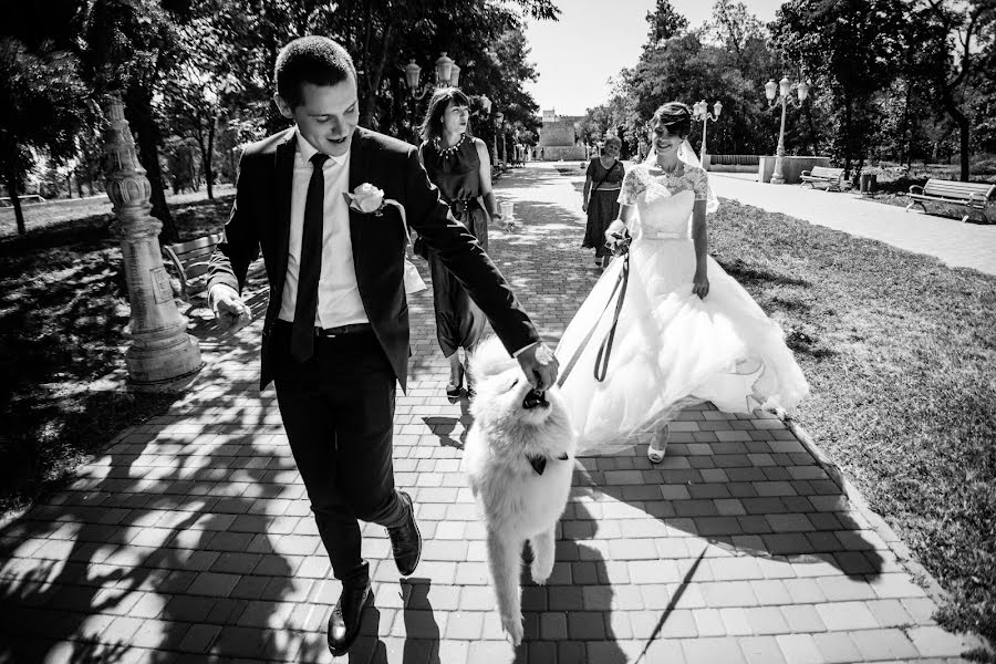 Fotógrafo de bodas Mariya Budanova (vlgmb). Foto del 16 de junio 2019