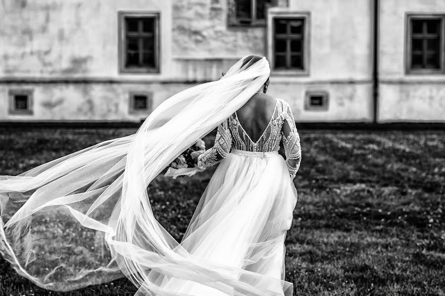 Fotografo di matrimoni Nicolae Boca (nicolaeboca). Foto del 27 luglio 2018