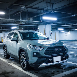 RAV4 MXAA54