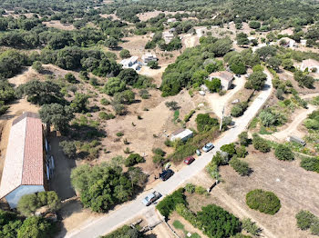 terrain à batir à Sollacaro (2A)