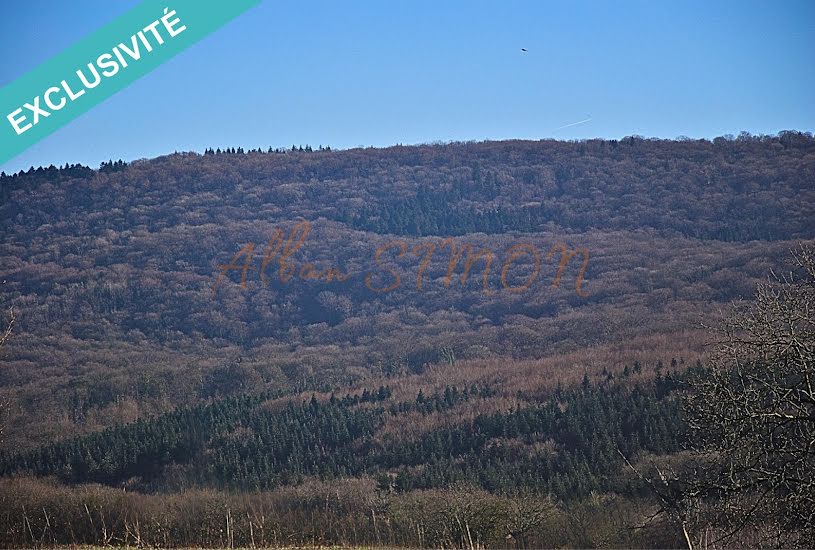  Vente Terrain à bâtir - 1 013m² à Fraisans (39700) 