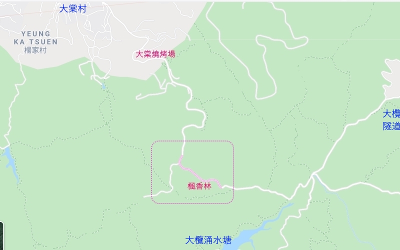 大棠楓香林