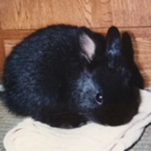 くろうさぎのプロフィール画像