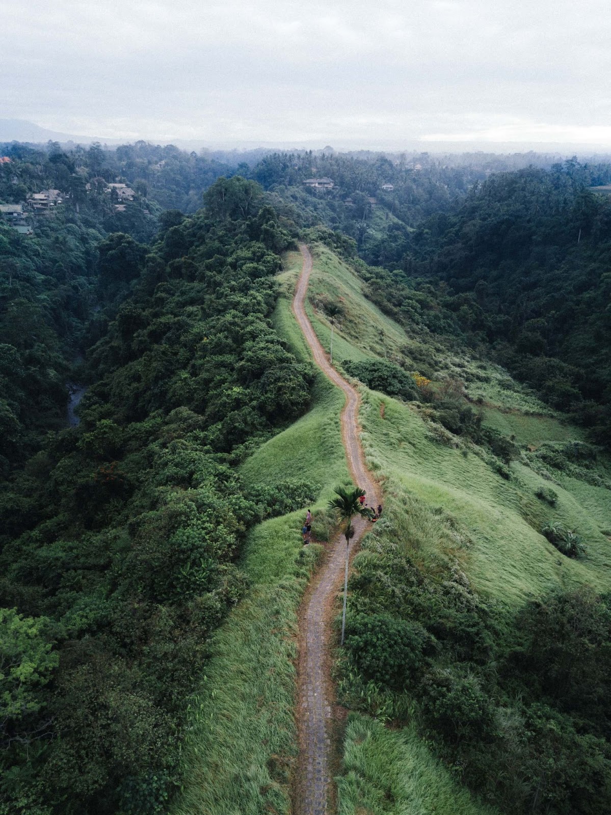 campuhan ridge walk, ubud