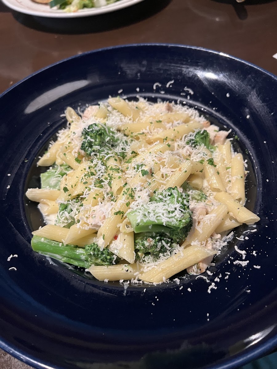 GF chicken broccoli penne