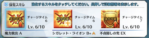 優先 Fgo スキル 上げ 【FGO】坂田金時の評価｜必要素材とスキル上げ優先度