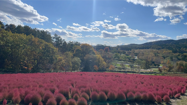 の投稿画像4枚目