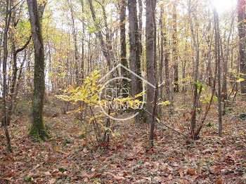 terrain à Savignac-de-Duras (47)