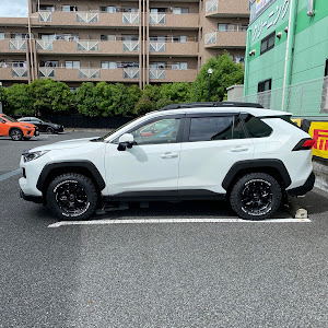 RAV4 AXAP54