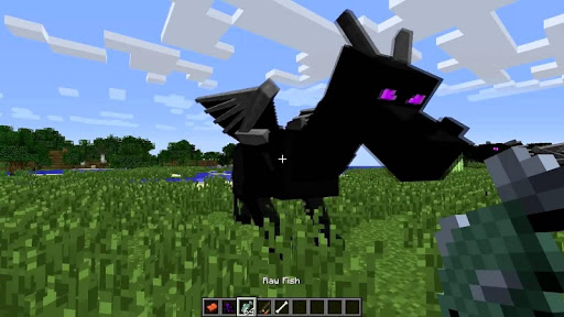 Dragon Mods for MCPE