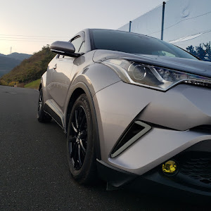 C-HR NGX50