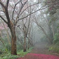 大山背客家人文生態館