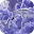 Unicorn Wallpapers Download on Windows