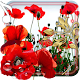 Summer Poppy live wallpaper Download on Windows