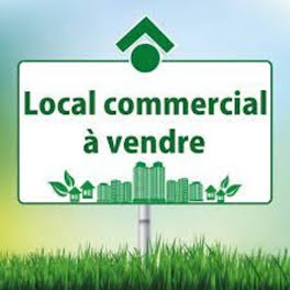 locaux professionnels à Mareuil-sur-Lay-Dissais (85)