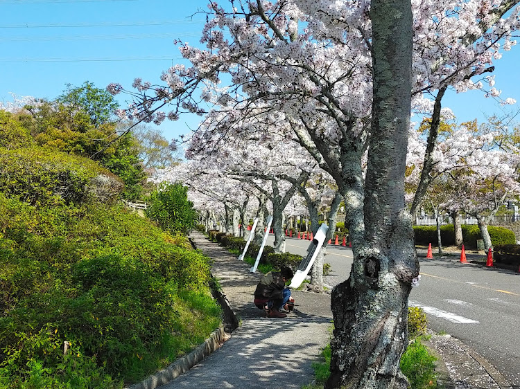 の投稿画像12枚目