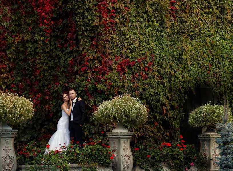 Fotógrafo de casamento Zhanna Samuylova (lesta). Foto de 21 de dezembro 2016