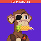 ApeGang #1508 - TO MIGRATE