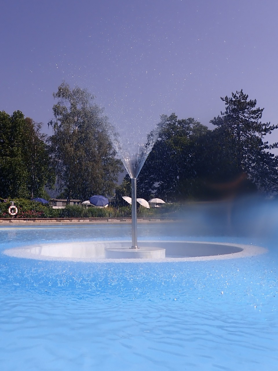 Tuffo in piscina  di Capirizzo