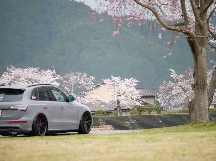 Q5のそろそろTRGしまっせ!😎・桜と愛車・桜とコラボに関するカスタム事例の投稿画像3枚目