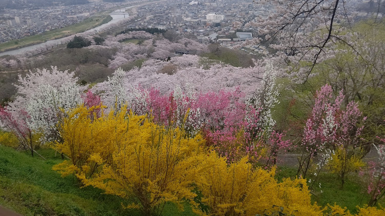 の投稿画像3枚目