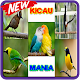 Download Master Kicau Burung Terbaru For PC Windows and Mac 1.0