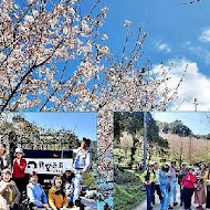 台灣農林熊空茶園