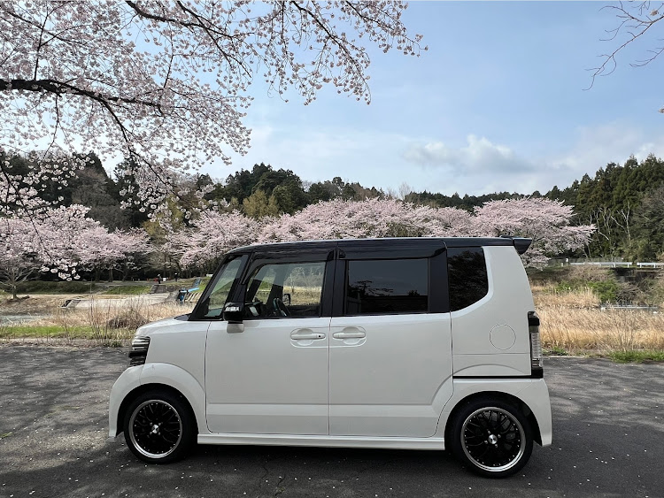 Nボックスカスタムのサクラと愛車・桜とコラボ・桜に関するカスタム事例の投稿画像2枚目