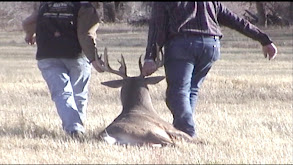 Early Season Badlands Mule Deer thumbnail